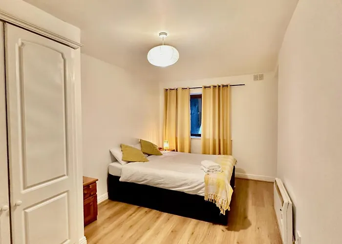 Apartment Saint Saviour's Waterford