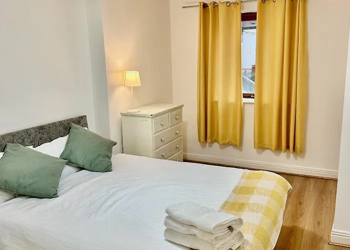 Saint Saviour's Apartment Waterford